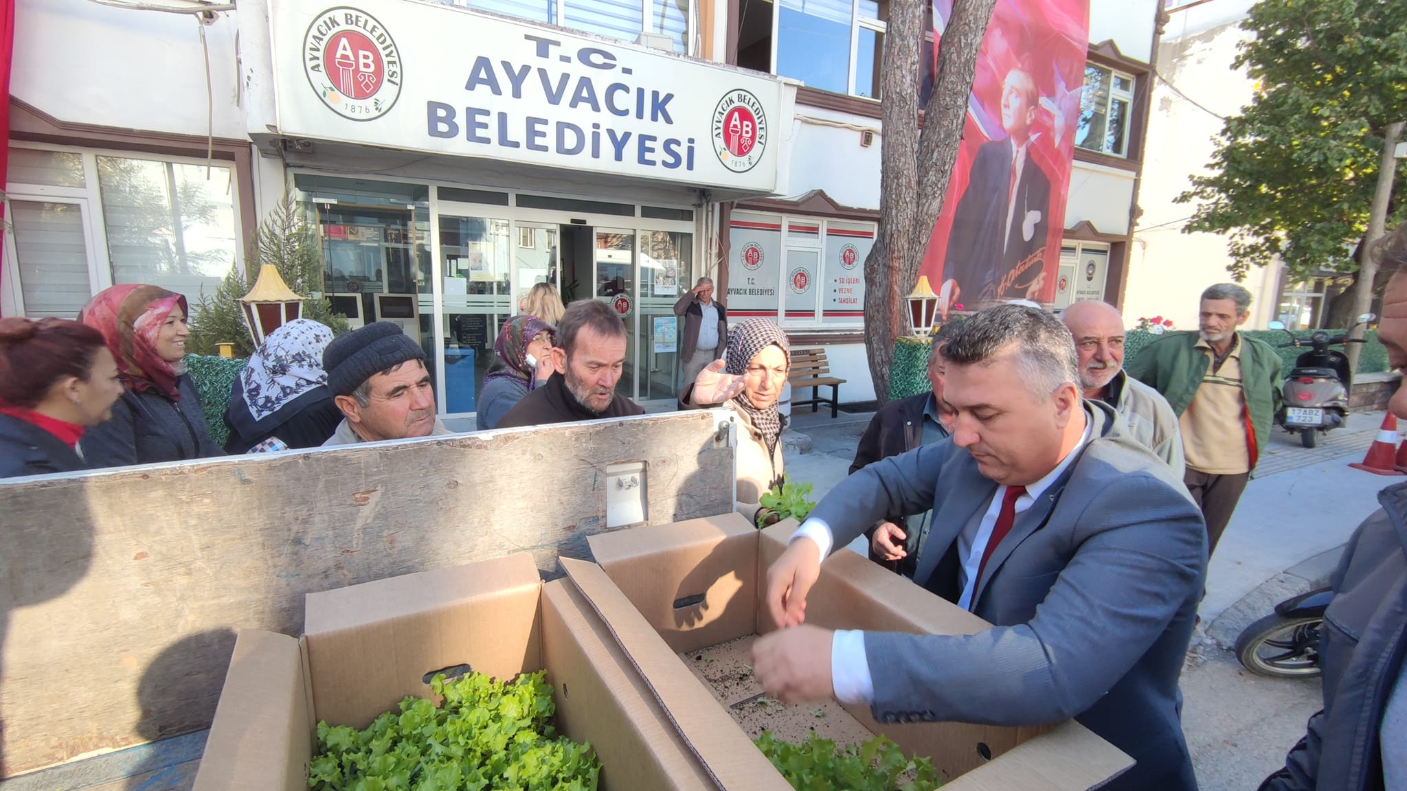 Ayvacık Belediyesi marul fidesi dağıttı