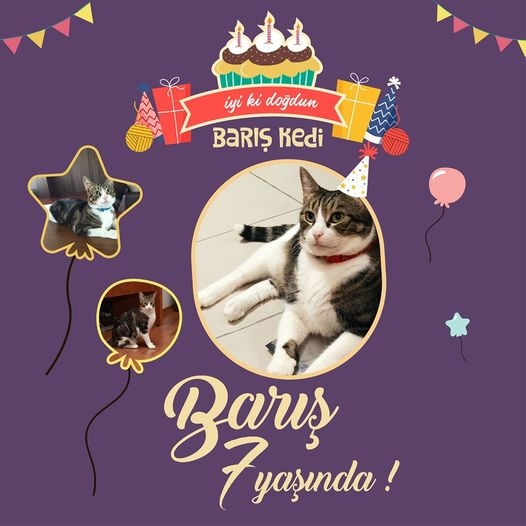 Barış Kedi 7 yaşında!