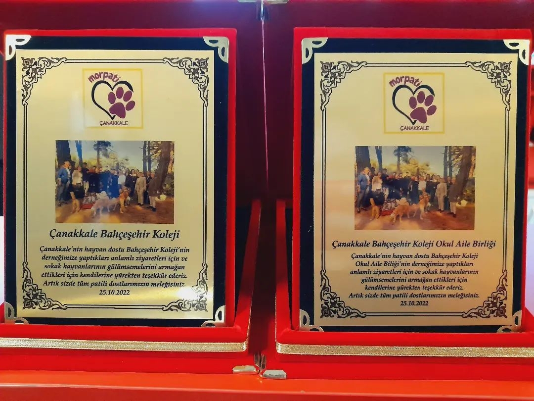 Mor Pati’den öğrencilere plaket