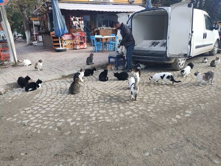 “Beklenti büyük”
