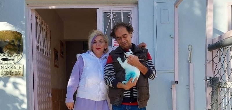 Can dostlar için çalışmalar aralıksız devam ediyor