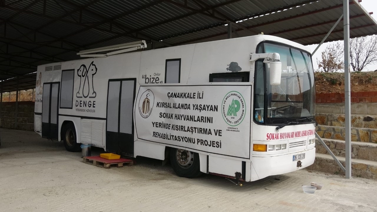 Sokak hayvanları kısırlaştırılıyor