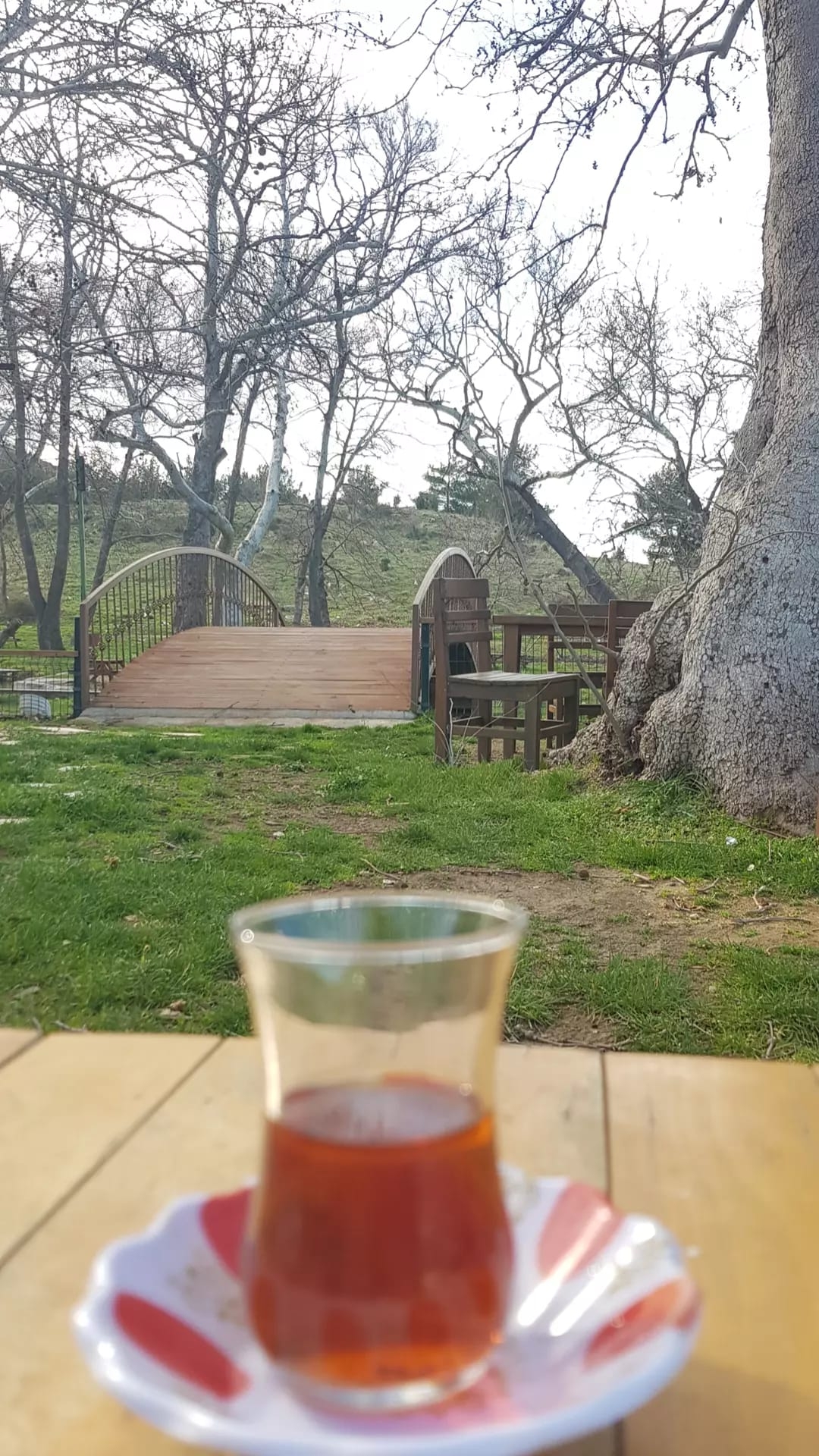 Akmıyor muhtar emmi