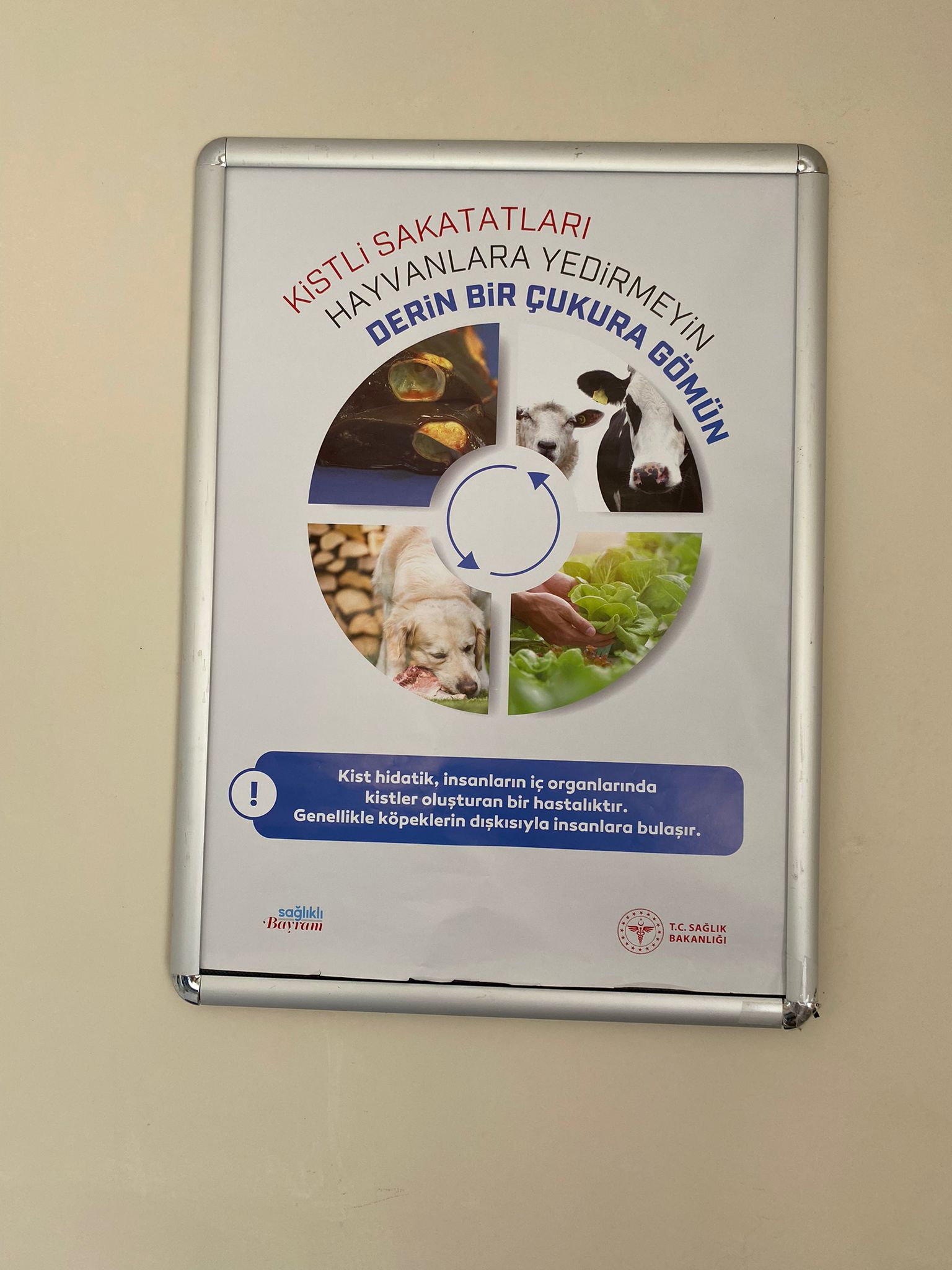 Kurban kesimi öncesi bilgilendirme yapıldı