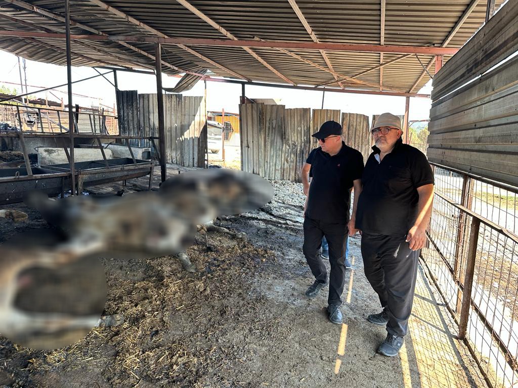 Ayhan Gider, Yangının Yol Açtığı Hasarları İnceledi