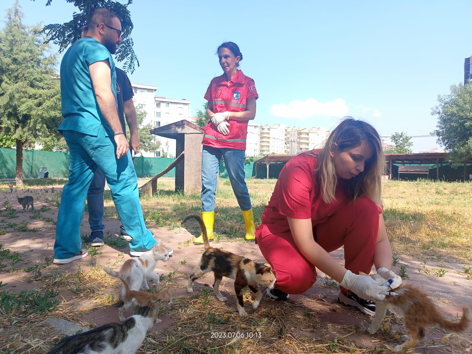 Kedi Köyünde Sağlık Taraması Gerçekleştirildi