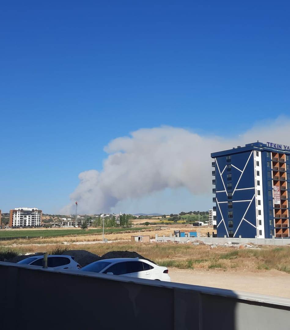 Çanakkale’de yangın
