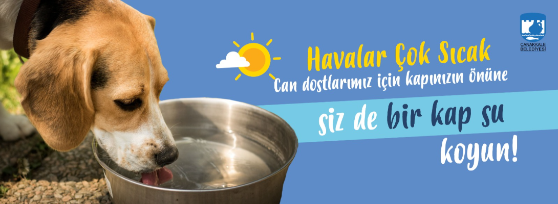 ‘’Bir kap su koyun’’