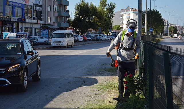 Lapseki tertemiz