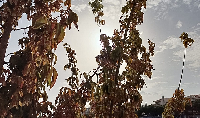 Çanakkale’de bugün hava durumu