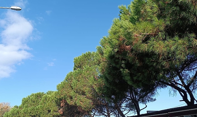 Çanakkale’de bugün hava durumu