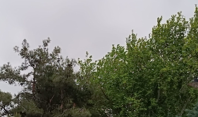 Çanakkale’de bugün hava durumu