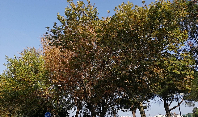 Çanakkale’de bugün hava durumu