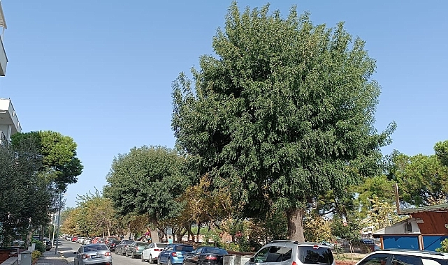 Çanakkale’de yarın hava nasıl olacak?
