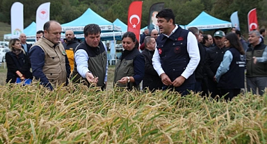 ‘Damlaya Damlaya Çeltik olur’