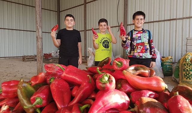 Z Kuşağı Kafadarlar gıdanın değerini biliyor