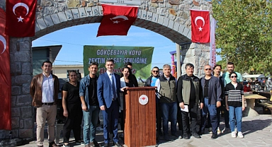 Zeytin hasat şenliği düzenlendi