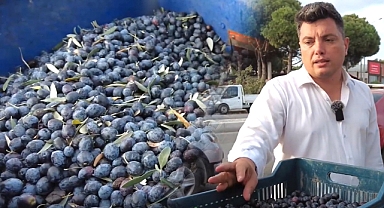 Hileli zeytinyağına dikkat!