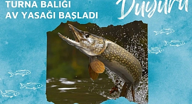 Balıkçılar dikkat! Turna balığı av yasağı başladı
