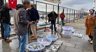 Balıklar fiyatına rağmen ilgi gördü