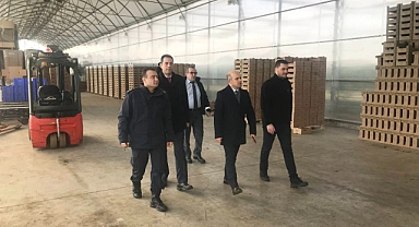 Çan’da modern bir sera, çalışanlarının yüzde 95’i kadın
