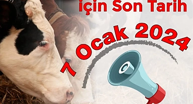 Düve alım desteği başvuruları başladı