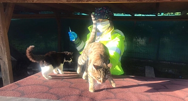 Kedi Köyünde genel sağlık taraması