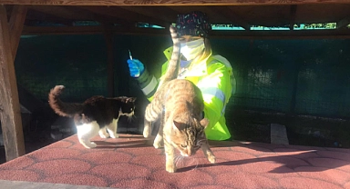 Kedi Köyünde genel sağlık taraması