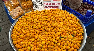 Kumkuat tezgahlarda yerini aldı