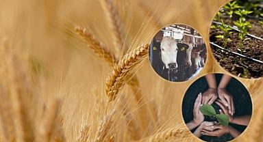 Tarımsal destekleme ödemeleri ne zaman hesaplara yatırılacak?