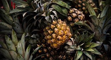 Ananas meyvesinin faydaları nelerdir?