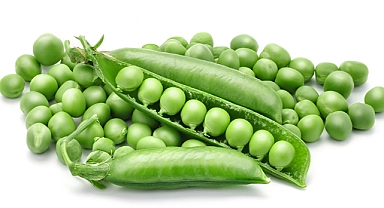 Bitkisel protein; bezelye