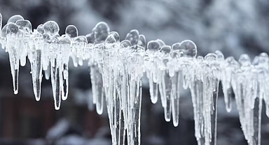 Çanakkale'de don olayına karşı uyarı!