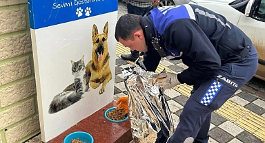 Ezine'de sokak hayvanları unutulmadı