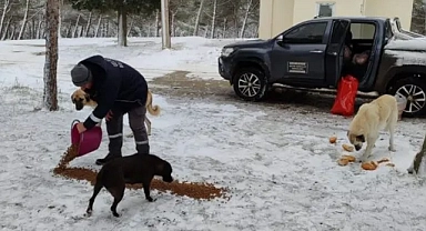 Gelibolu Belediyesi, soğuk havada gönülleri ısıttı