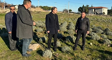 Kaymakam Sak, Kuruoba Köyü'nde incelemelerde bulundu