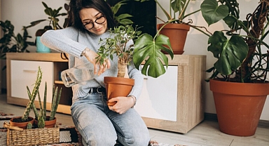 Kış aylarında çiçek bakımı