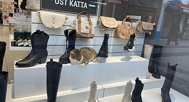 ‘’Mağazamızın en yeni personeli’’