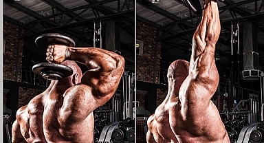 Triceps Extension: Anatomical Insights ve Functional Benefits