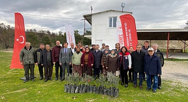 Çanakkale'de orman yangınından zarar gören üreticilere zeytin fidanı dağıtıldı