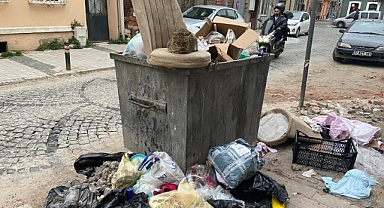 Fevzipaşa'da kedinin beklenmedik molası