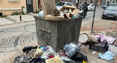 Fevzipaşa'da kedinin beklenmedik molası