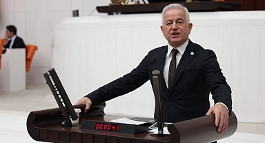 Güneşhan mecliste konuştu