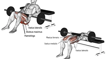 Hip Thrust Egzersizi: Tanımı, Faydaları ve Kas Grubu İşlevi