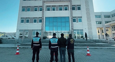 Sarıcaeli'nde çalınan 4 küçükbaş bulundu!