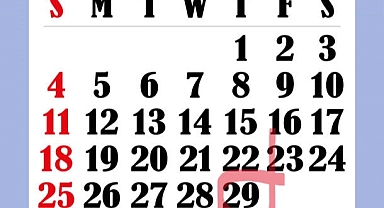 Şubat ayı neden 28 ya da 29 çeker ?