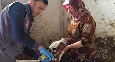 Yenice’de aşılama başladı
