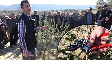 Zeytin yetiştiricilerine eğitim verildi