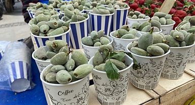 Çanakkale'de ilk çağlalar tezgahlarda