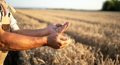Çiftçilerin enflasyonu bu ay da artış gösterdi